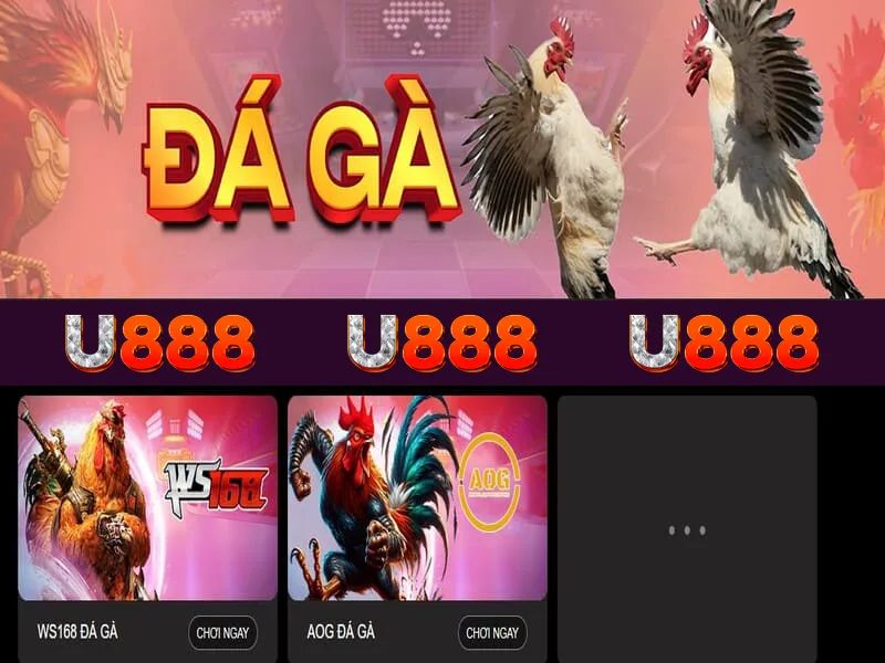 Đá gà online tại U888 an toàn và uy tín