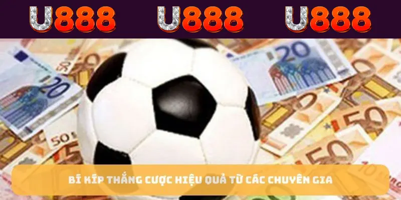 Bí kíp thắng cược hiệu quả từ các chuyên gia