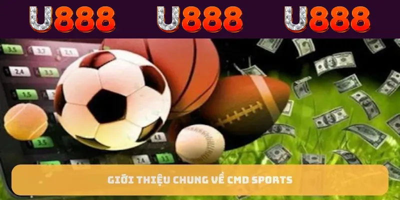 Giới thiệu chung về CMD Sports