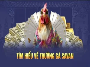 Trường Gà Savan U888 - Sảnh Cược Đặc Sắc Hàng Đầu Tại Nhà Cái Online