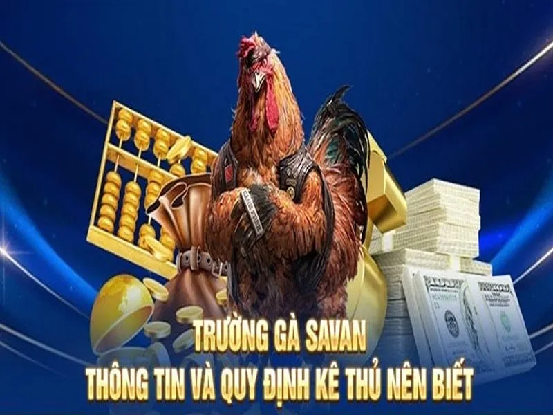 Trường gà Savan là địa chỉ cá cược chất lượng hàng đầu